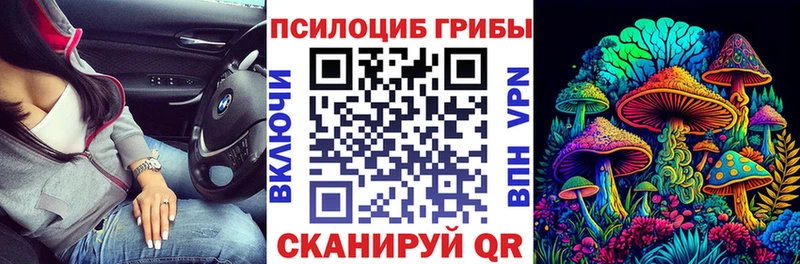 где продают наркотики  Алушта  Псилоцибиновые грибы Psilocybine cubensis 