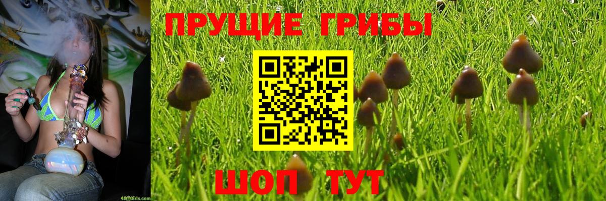 Галлюциногенные грибы Magic Shrooms Алушта